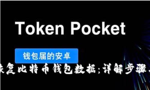 如何恢复比特币钱包数据：详解步骤与方法